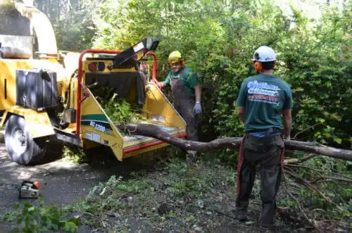 tree services Crockett